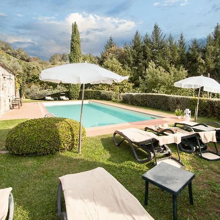 Casetta Di Butia, Ginestra Apartment With Swimming Pool Borgo a Mozzano Ngoại thất bức ảnh