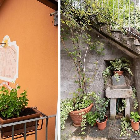 Casetta Di Butia, Ginestra Apartment With Swimming Pool Borgo a Mozzano Ngoại thất bức ảnh