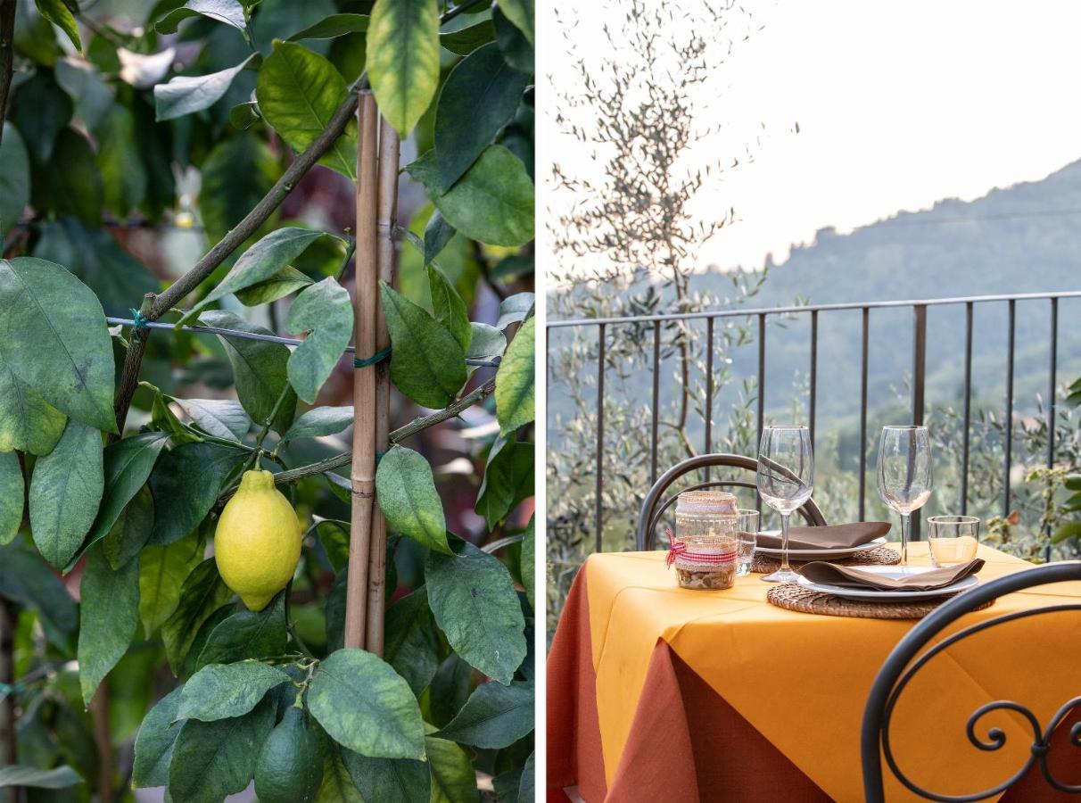 Casetta Di Butia, Ginestra Apartment With Swimming Pool Borgo a Mozzano Ngoại thất bức ảnh