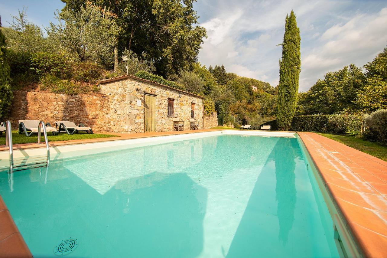 Casetta Di Butia, Ginestra Apartment With Swimming Pool Borgo a Mozzano Ngoại thất bức ảnh
