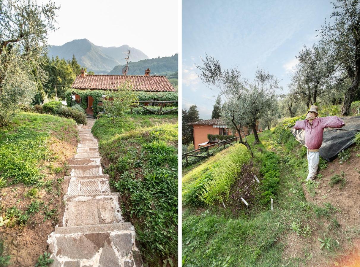 Casetta Di Butia, Ginestra Apartment With Swimming Pool Borgo a Mozzano Ngoại thất bức ảnh