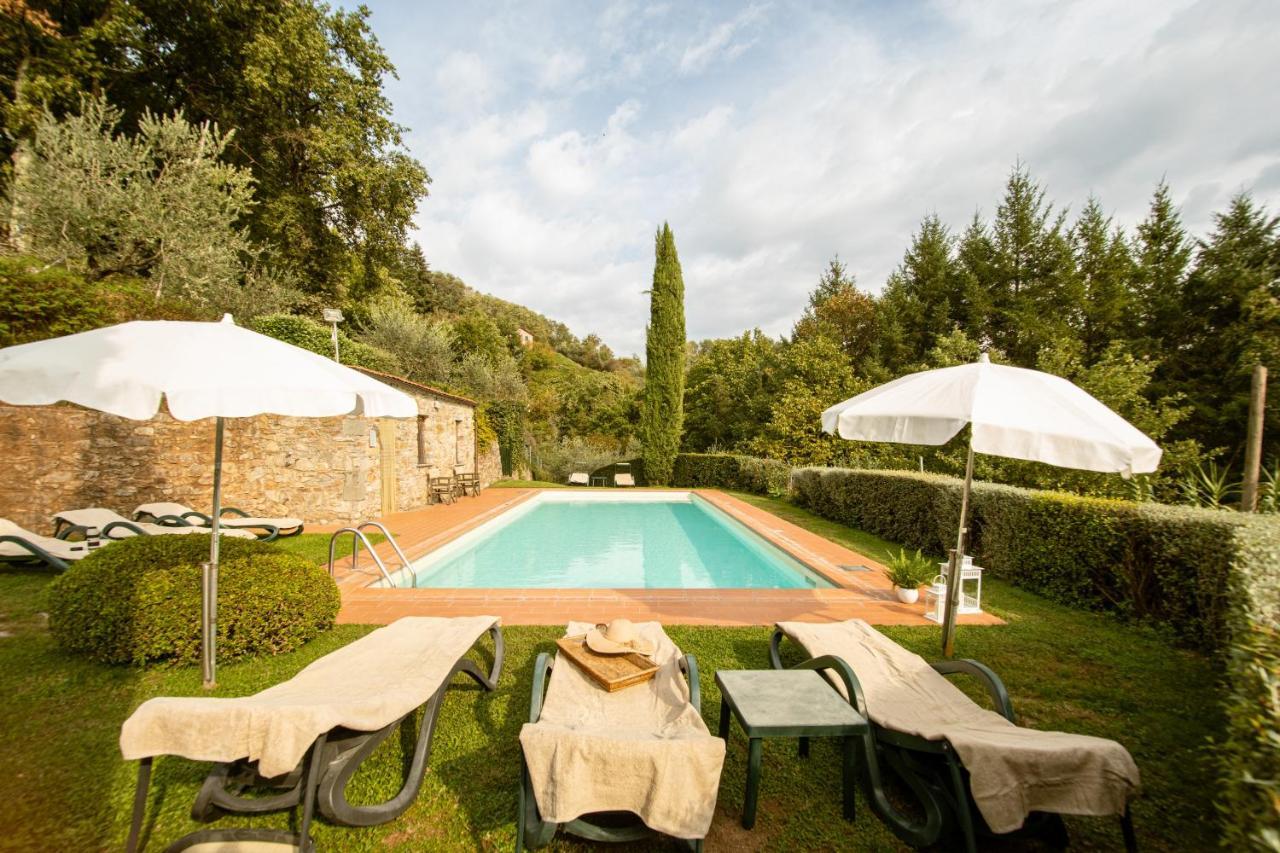 Casetta Di Butia, Ginestra Apartment With Swimming Pool Borgo a Mozzano Ngoại thất bức ảnh