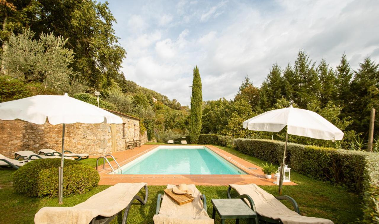 Casetta Di Butia, Ginestra Apartment With Swimming Pool Borgo a Mozzano Ngoại thất bức ảnh