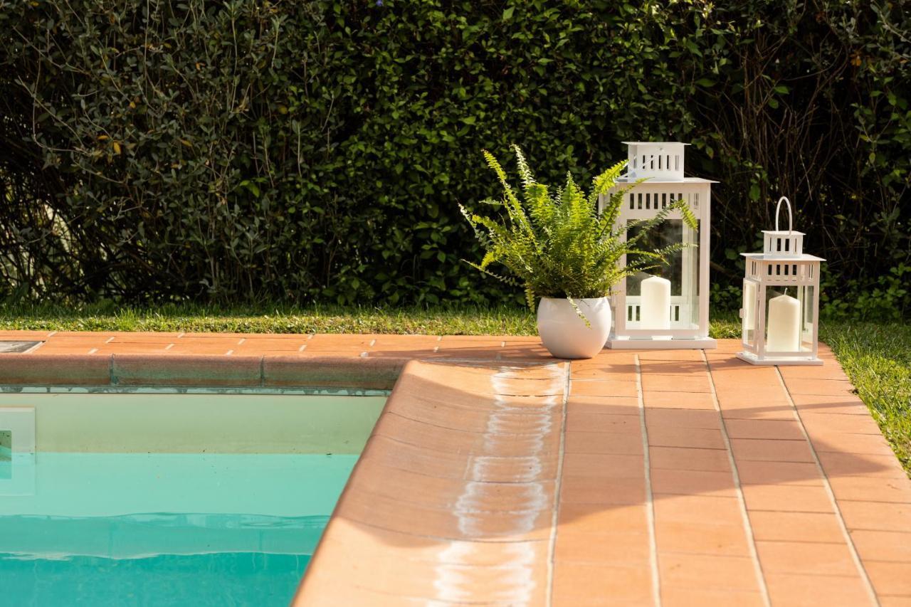 Casetta Di Butia, Ginestra Apartment With Swimming Pool Borgo a Mozzano Ngoại thất bức ảnh