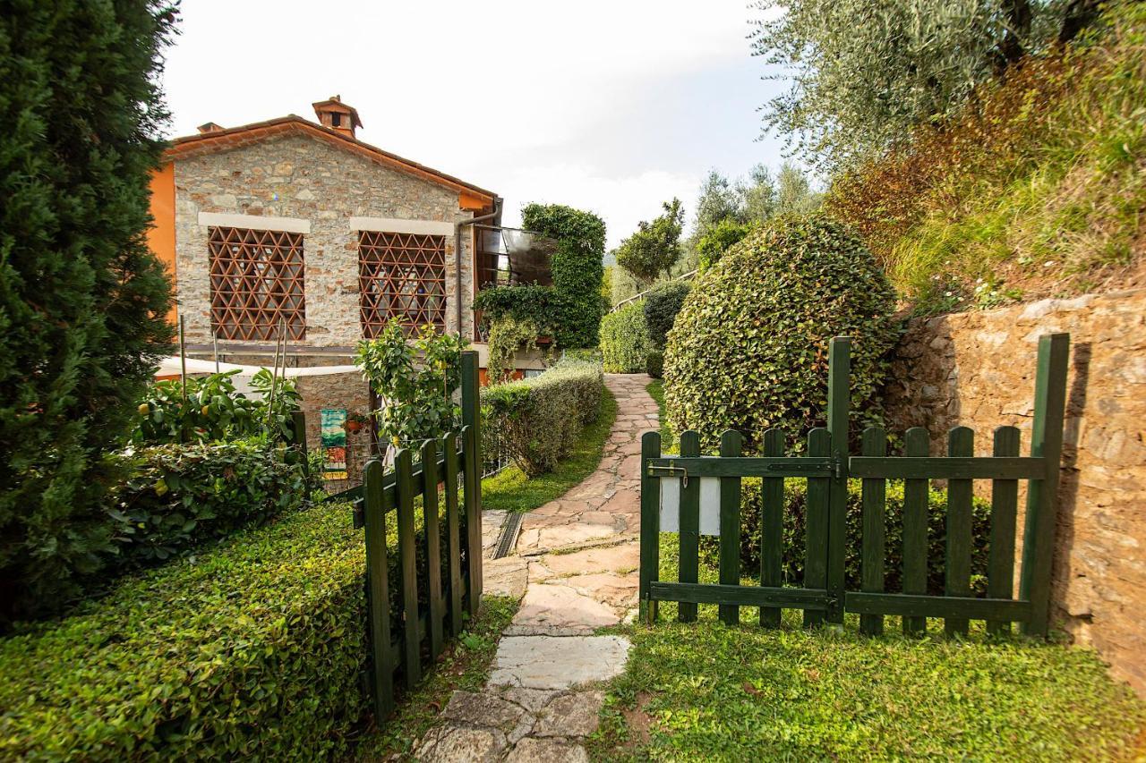 Casetta Di Butia, Ginestra Apartment With Swimming Pool Borgo a Mozzano Ngoại thất bức ảnh