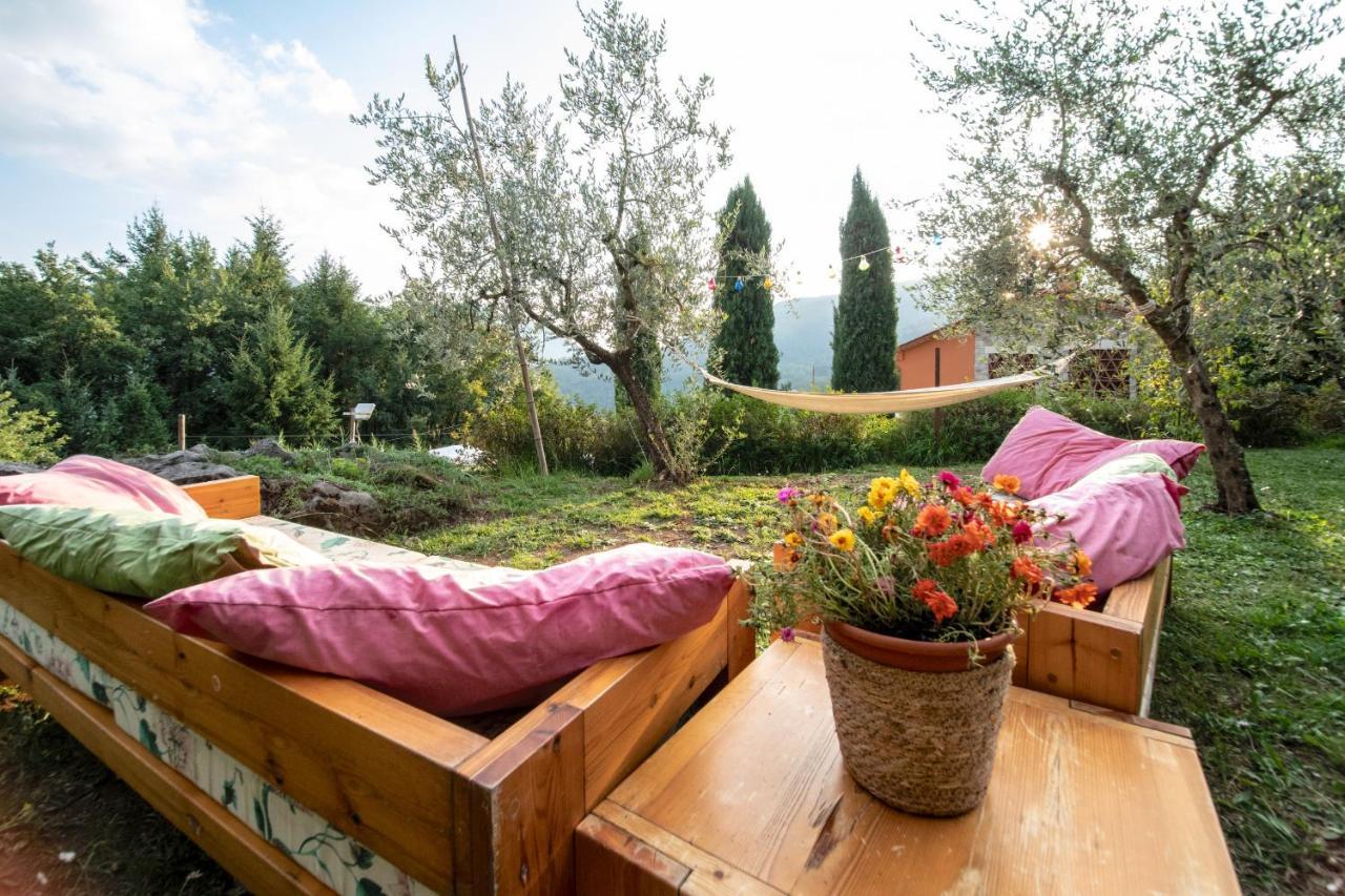 Casetta Di Butia, Ginestra Apartment With Swimming Pool Borgo a Mozzano Ngoại thất bức ảnh