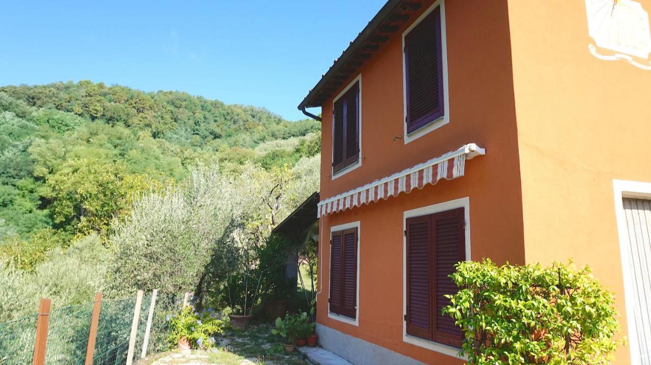 Casetta Di Butia, Ginestra Apartment With Swimming Pool Borgo a Mozzano Ngoại thất bức ảnh