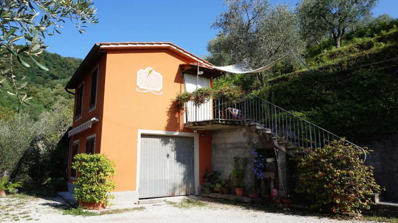 Casetta Di Butia, Ginestra Apartment With Swimming Pool Borgo a Mozzano Ngoại thất bức ảnh