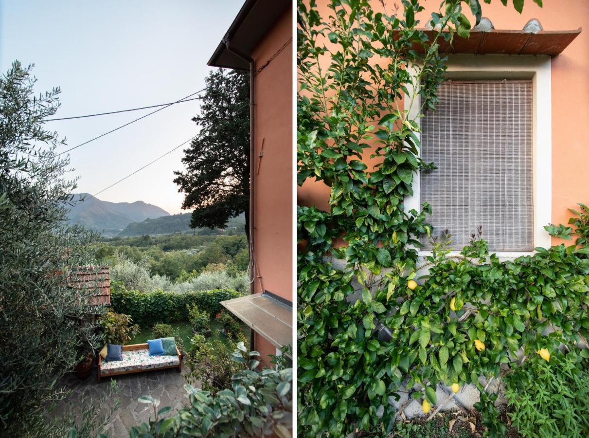 Casetta Di Butia, Ginestra Apartment With Swimming Pool Borgo a Mozzano Ngoại thất bức ảnh