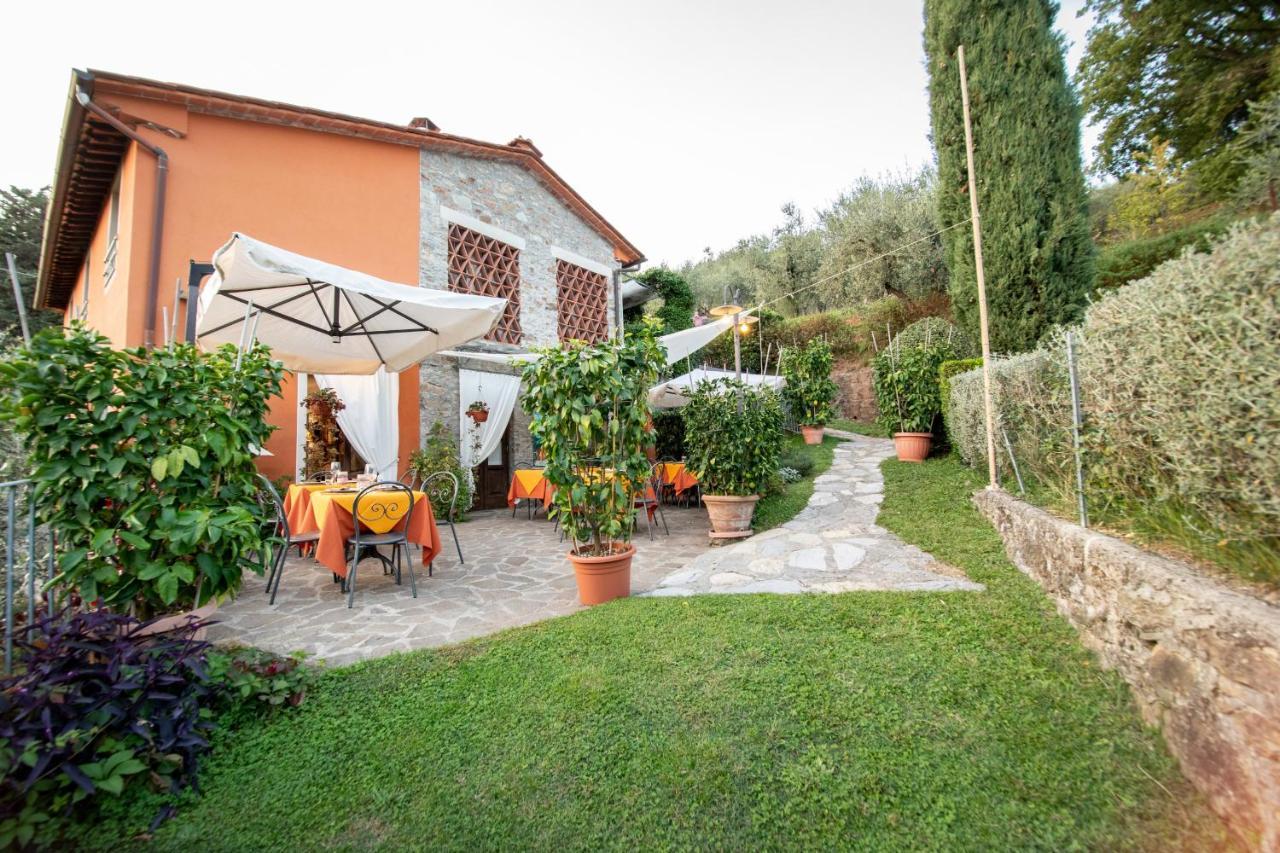 Casetta Di Butia, Ginestra Apartment With Swimming Pool Borgo a Mozzano Ngoại thất bức ảnh