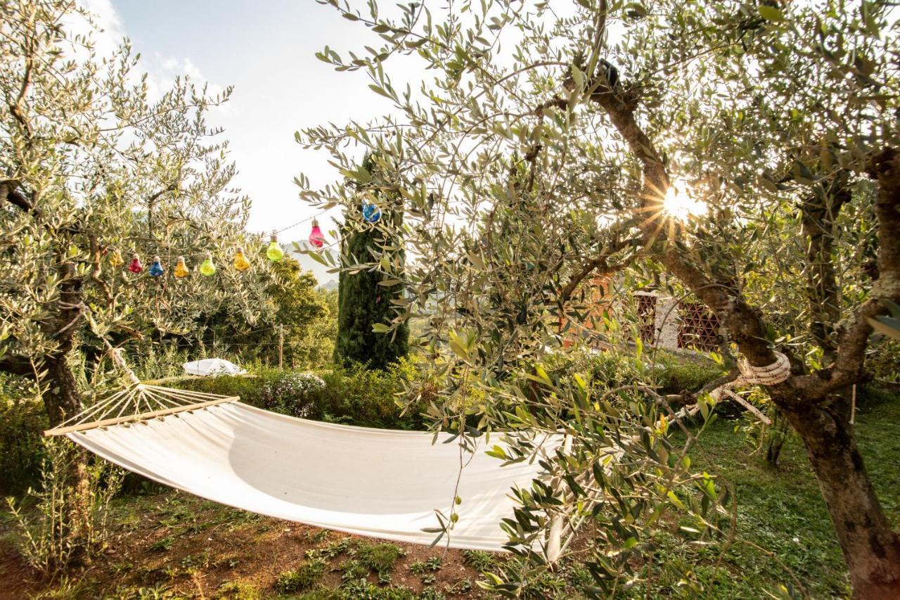Casetta Di Butia, Ginestra Apartment With Swimming Pool Borgo a Mozzano Ngoại thất bức ảnh