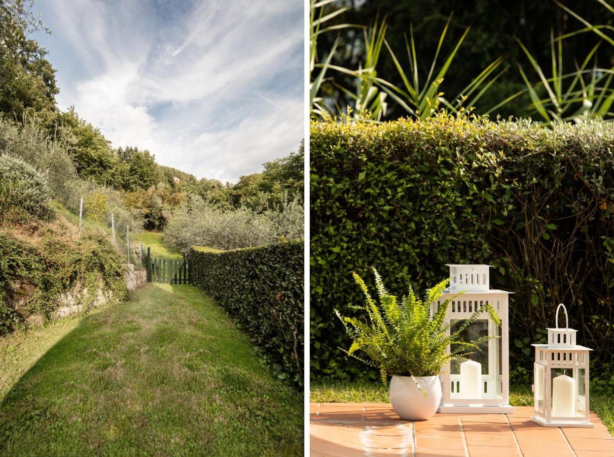 Casetta Di Butia, Ginestra Apartment With Swimming Pool Borgo a Mozzano Ngoại thất bức ảnh