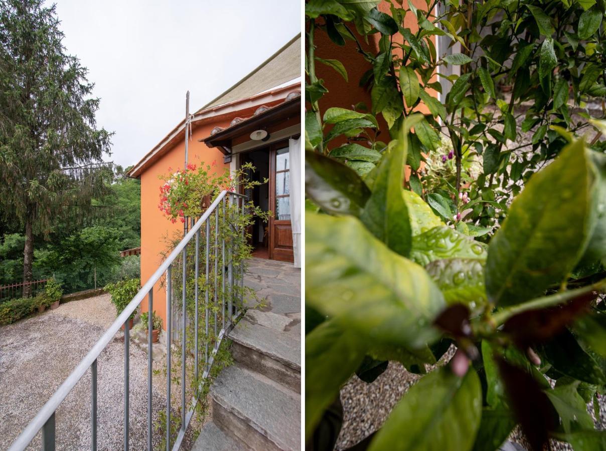 Casetta Di Butia, Ginestra Apartment With Swimming Pool Borgo a Mozzano Ngoại thất bức ảnh