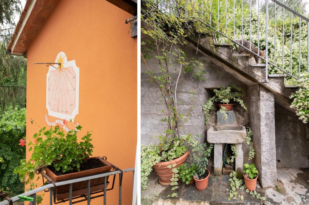 Casetta Di Butia, Ginestra Apartment With Swimming Pool Borgo a Mozzano Ngoại thất bức ảnh