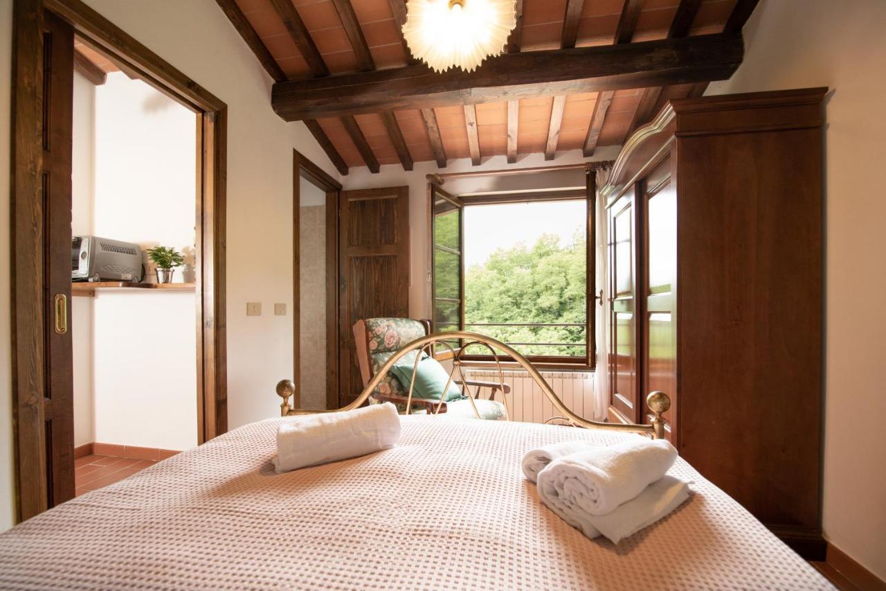 Casetta Di Butia, Ginestra Apartment With Swimming Pool Borgo a Mozzano Ngoại thất bức ảnh