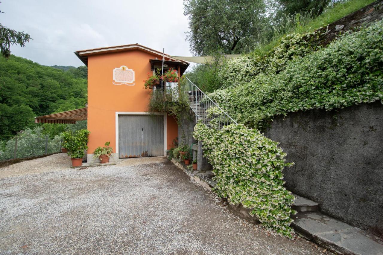 Casetta Di Butia, Ginestra Apartment With Swimming Pool Borgo a Mozzano Ngoại thất bức ảnh