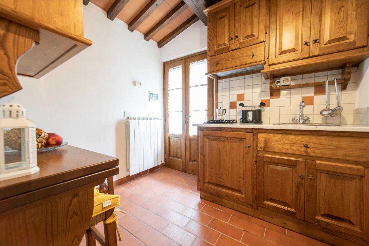 Casetta Di Butia, Ginestra Apartment With Swimming Pool Borgo a Mozzano Ngoại thất bức ảnh