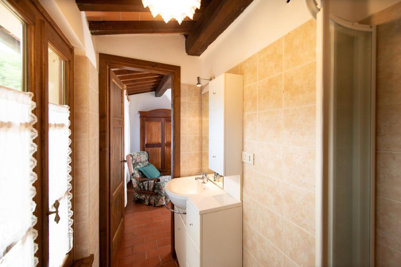Casetta Di Butia, Ginestra Apartment With Swimming Pool Borgo a Mozzano Ngoại thất bức ảnh